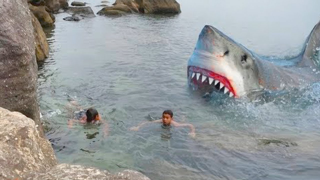 como se llama la fobia a los tiburones