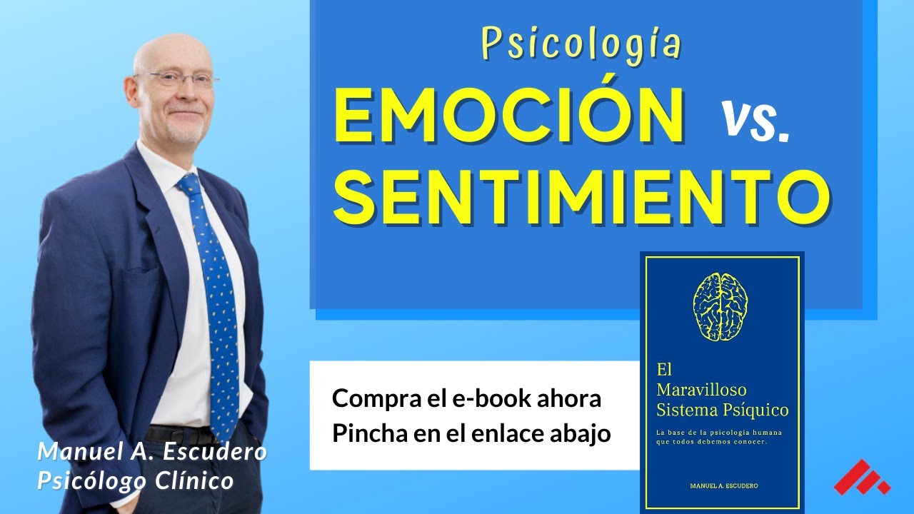lista de emociones y su significado