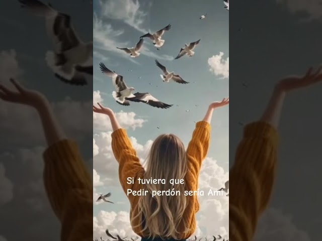 si tuviera que pedir perdón sería a mi