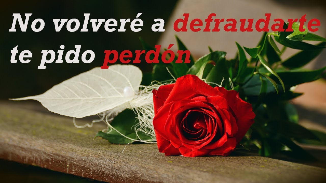 carta de disculpas a tu pareja