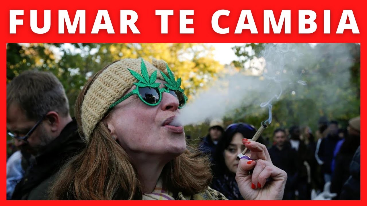 como afectan los porros a la personalidad