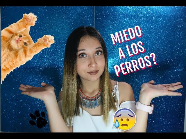 como se llama la fobia a los perros