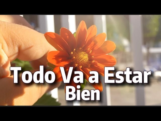 frase todo va a salir bien