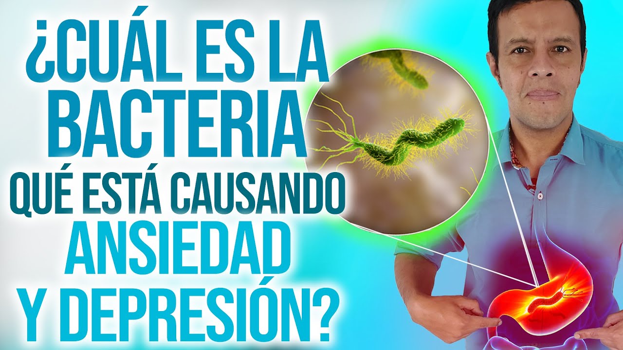 probióticos para la depresión y ansiedad