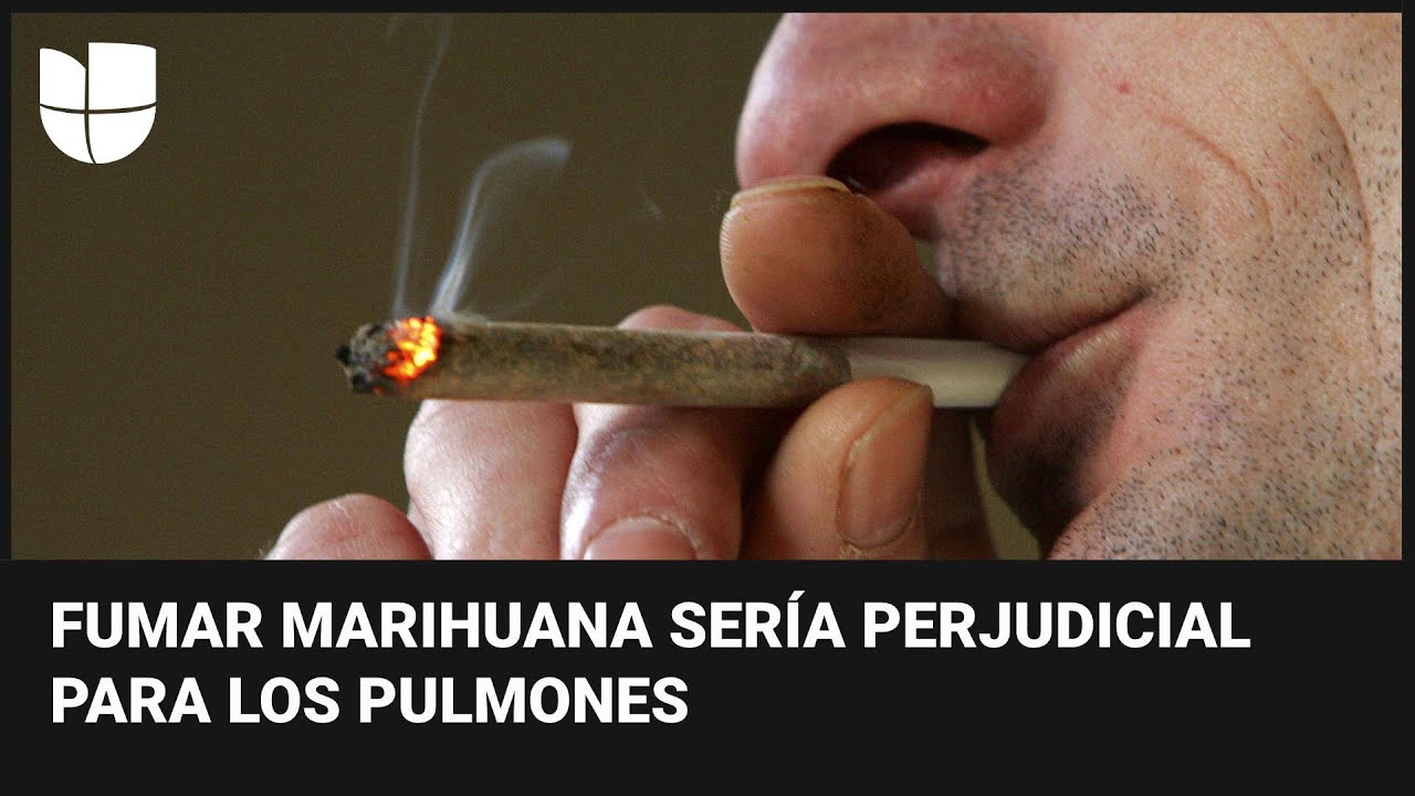que fumar si no tengo porros