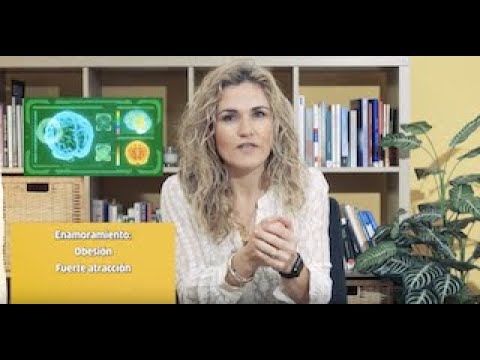 te quiero pero no estoy enamorado de ti significado