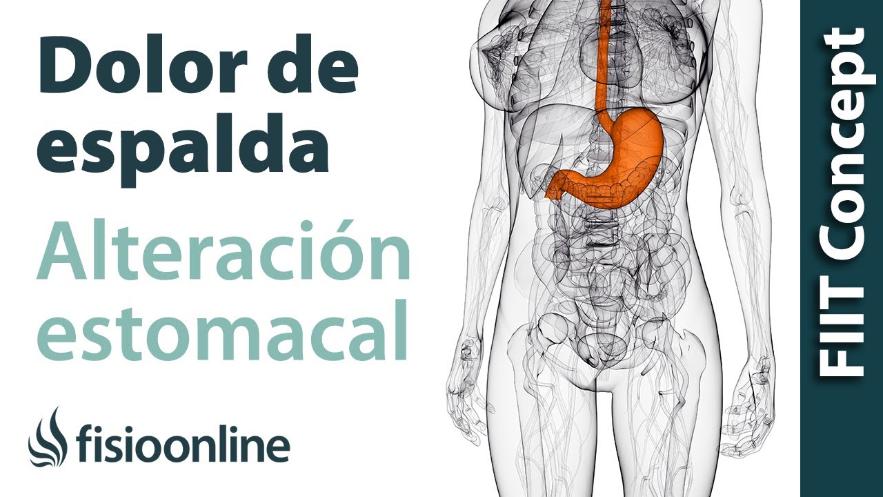 vacío en el estómago y dolor de espalda