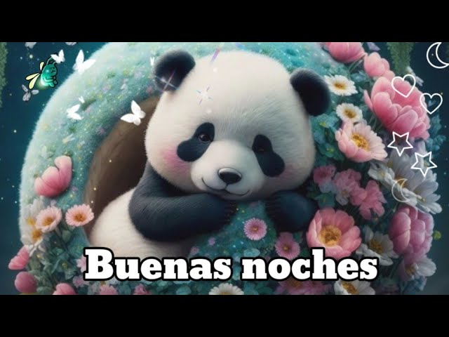 buenas noches una frase un sentimiento