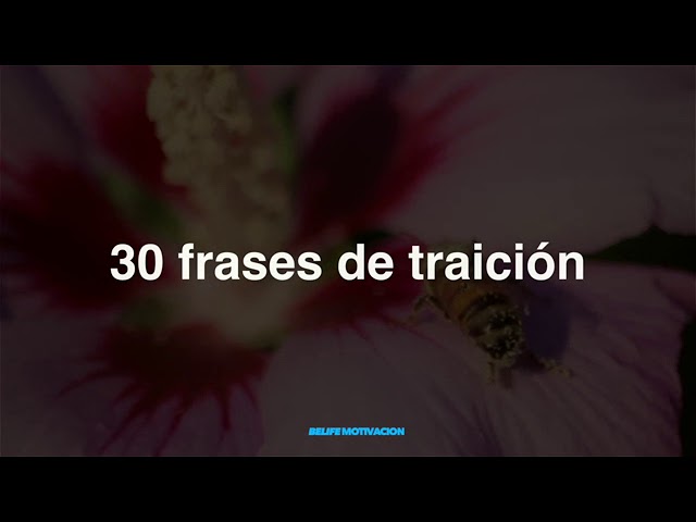 frases cuando te traiciona tu pareja