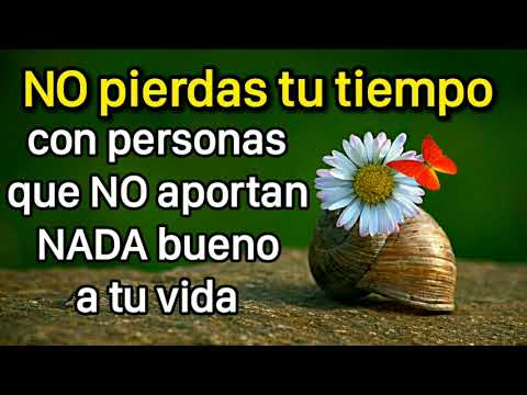 frases para personas que no aportan nada