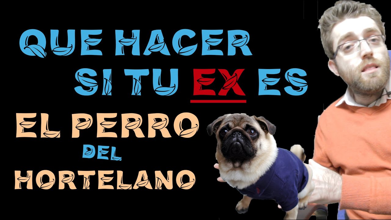mi perro está a nombre de mi ex