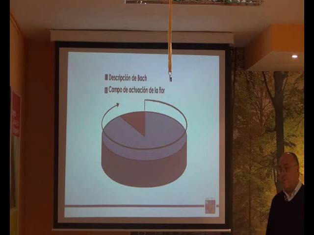 psicologos en villa de las flores coacalco