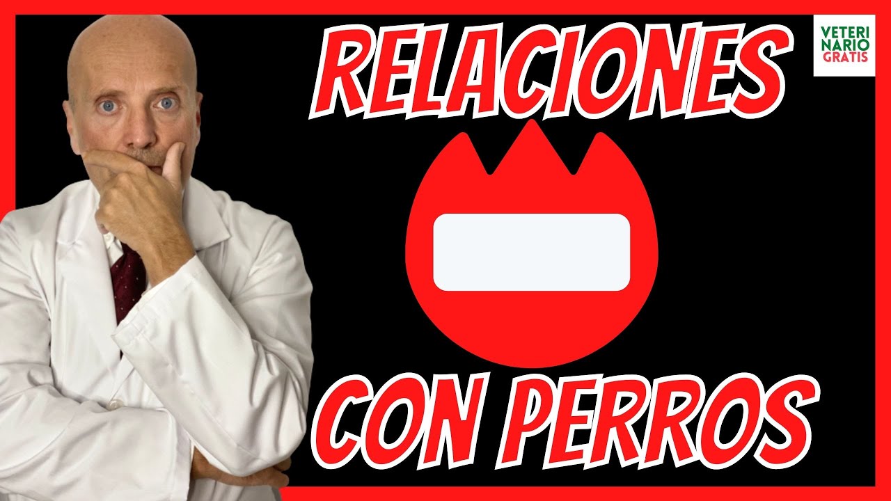 que pasa si un humano tiene relaciones con un perro