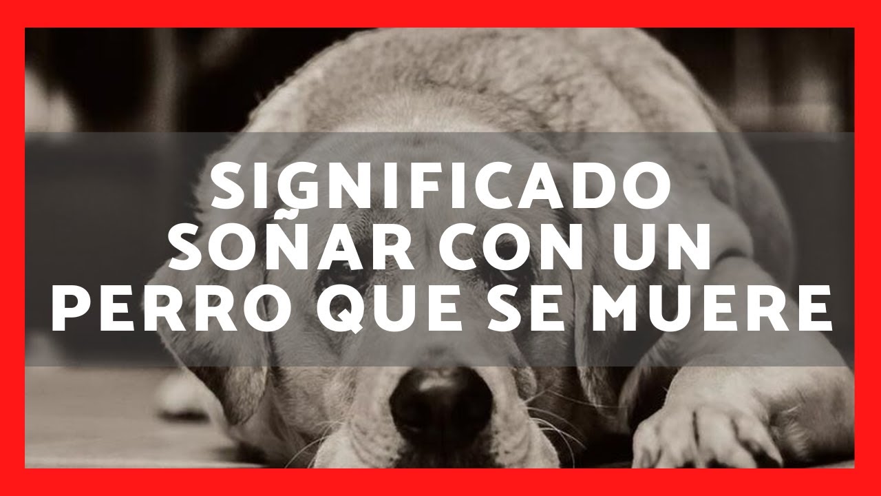 que significa soñar que tus perros se mueren