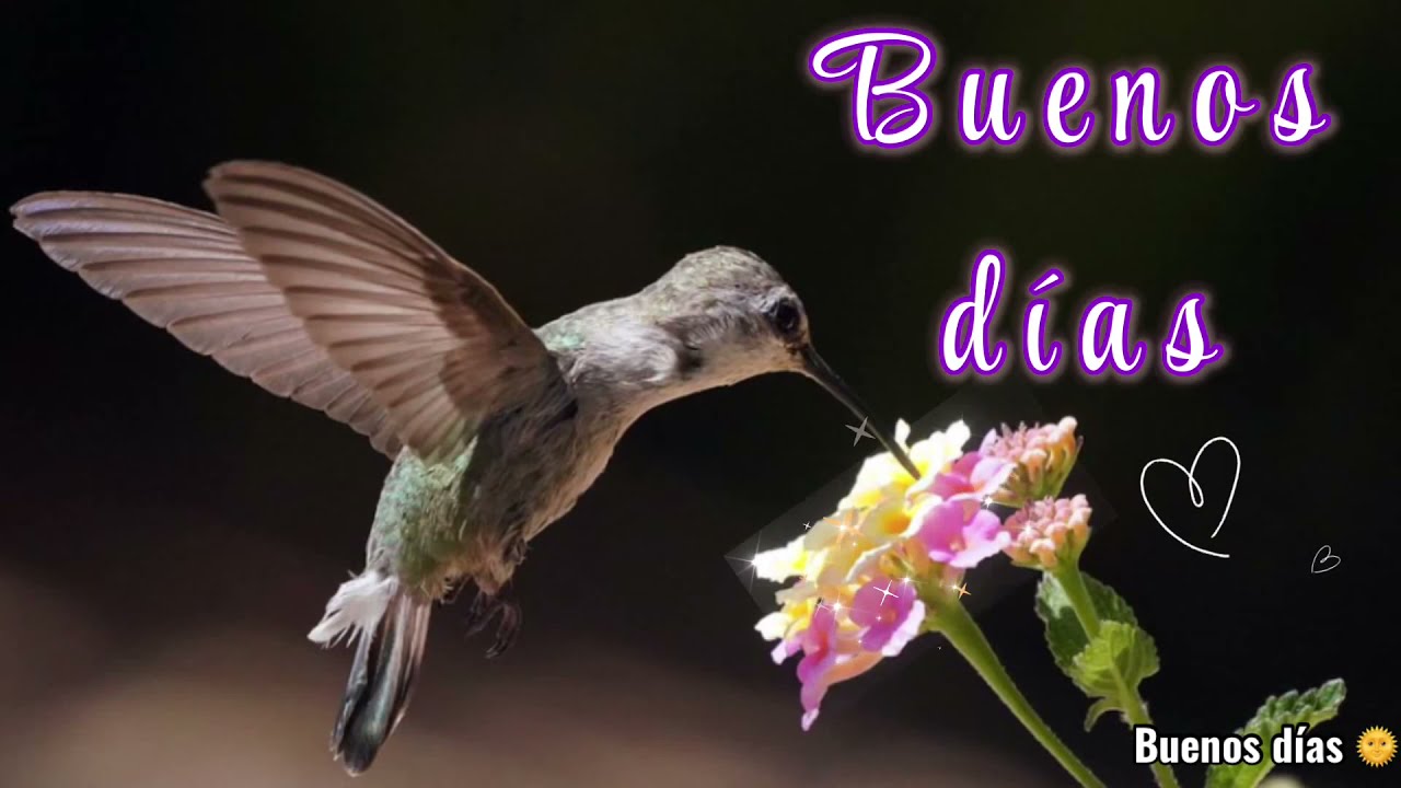 una frase un sentimiento buenos días