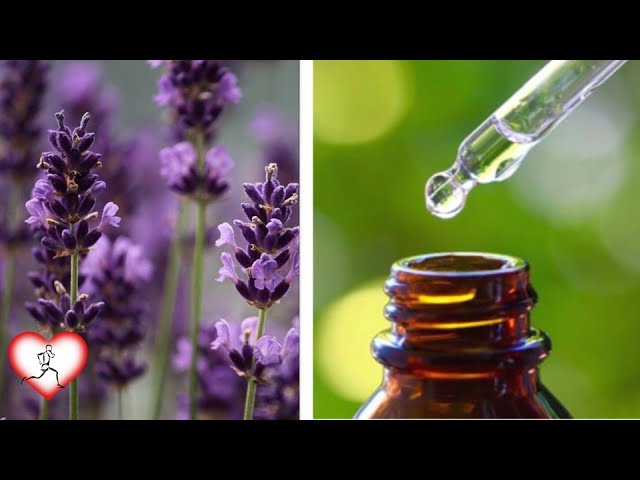 como usar el aceite de lavanda para la ansiedad