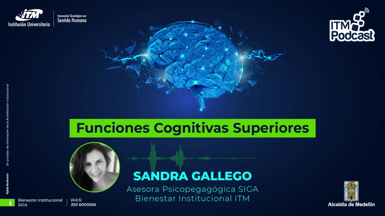cuales son las funciones cognitivas superiores